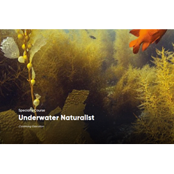 Underwater Naturalist